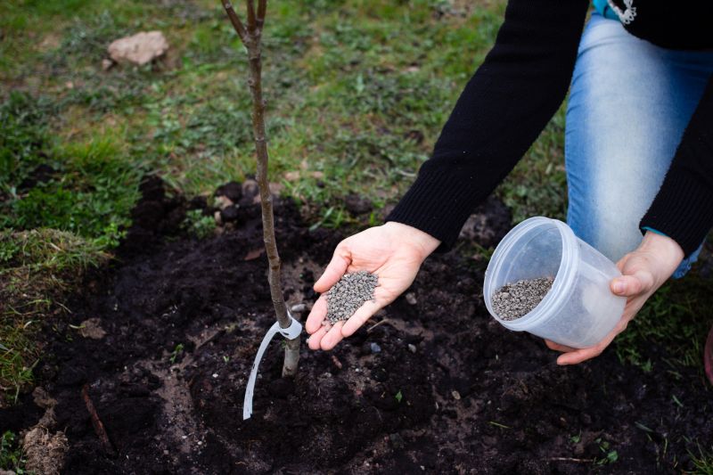 Arborist Service